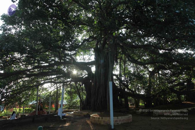 20101112 Photo 1319 1K4BGm5ptMz2LUkwHS3RsltvL e5QvR79.JPG