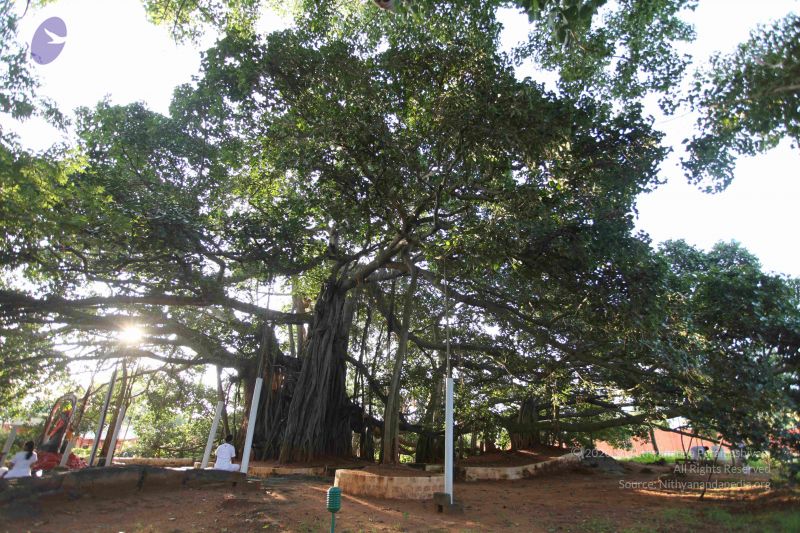 File:20101112 Photo 1324 11EsYCkgKKWa6OMtCBgPH sjFLbrbf1p9.JPG