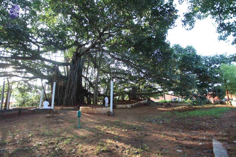 File:20101112 Photo 1326 1umRdhqd8chzxzuwDyG1PfYAeb22lmPW4.JPG