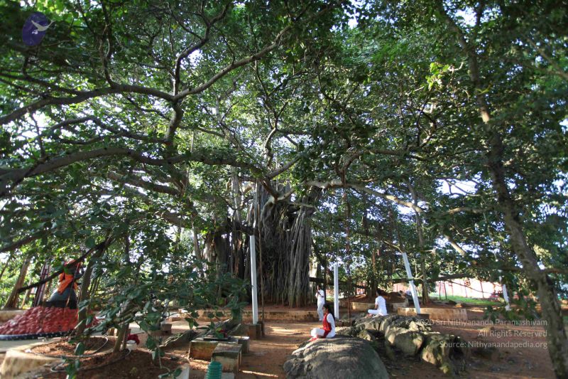 File:20101112 Photo 1329 1nLE4L65F6y4P0 u37mIQ6xmUewPPYxA .JPG