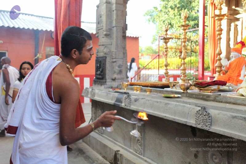 File:20101112 Photo 1334 1b sByMDFb3iUOvHdBvcw808PFNKsDNCz.JPG