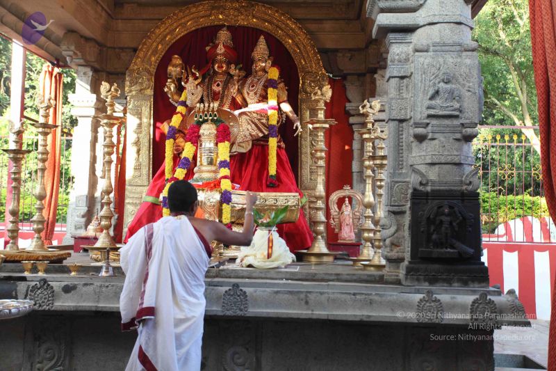 File:20101112 Photo 1342 1AN1xo-I0FiPvtyAp3ZAvUEIGMAKVDSXd.JPG