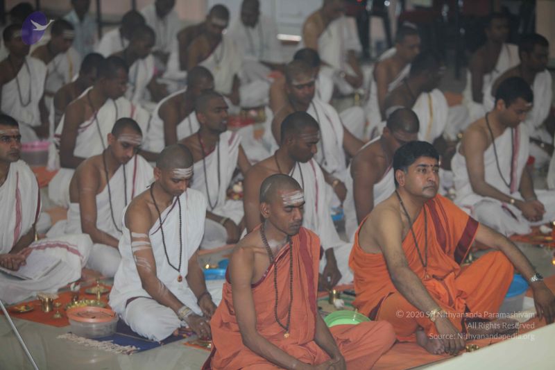 File:20101112 Photo 1389 1qDrUcD-Wg-bWXqGeJIEkV8hQFllg83BU.JPG