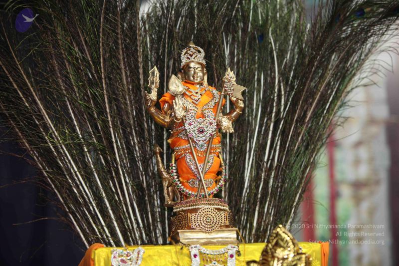 File:20101112 Photo 1403 1X3Rkux cnLMSnsCZ4E2rAXLtwrXra4Kk.JPG