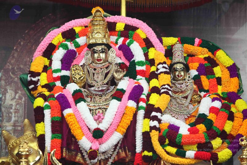 File:20101112 Photo 1430 1XxQGMLX3GVSRS59OIOZ8o-szDnCSmbCJ.JPG