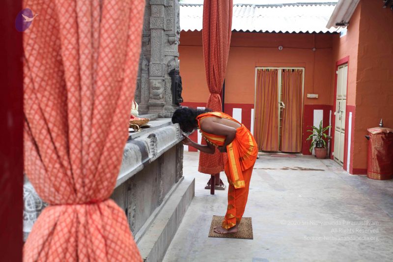 File:20101112 Photo 1489 1g5XsrbHZXLS1QE9FumHwpvWbNJfsagWN.JPG