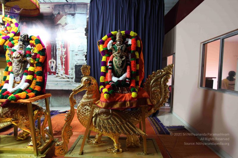 File:20101112 Photo 1569 1acUzbh11A7ncaPm2ZXwoN6OLD7wt6cl2.JPG