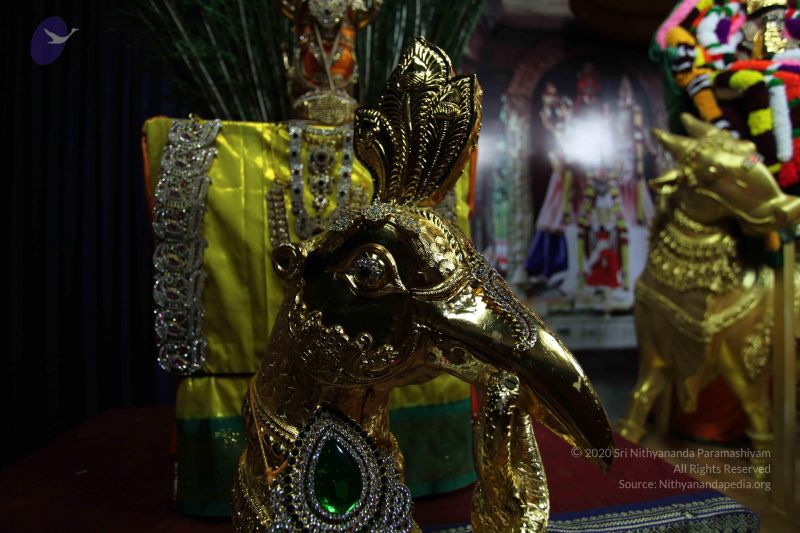 File:20101112 Photo 1592 10YJA Bh10SF6DrWSJse57jgTpsC53GT6.JPG