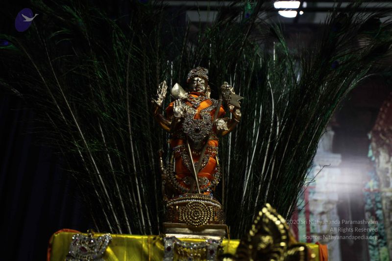 File:20101112 Photo 1593 1nqm-CpZAgLMY4eV 2pnWCW2aRXSM7Ol4.JPG