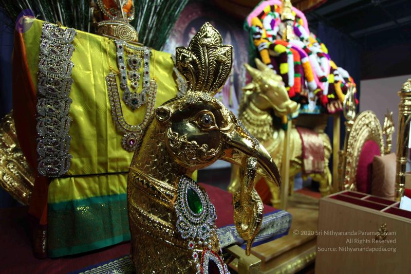 File:20101112 Photo 1603 1fUa0svntO4yyV0Py3HjJJb1aCtF09umQ.JPG