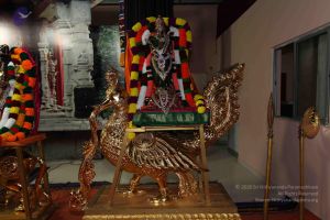 20101112 Photo 1627 1eB38znKypsITAPTC7zeduv51CvEJfJdu.JPG