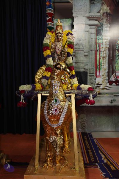 File:20101112 Photo 1653 1BHeo076JGPRT8nRyBGCcsMO6IJ8c pKb.JPG