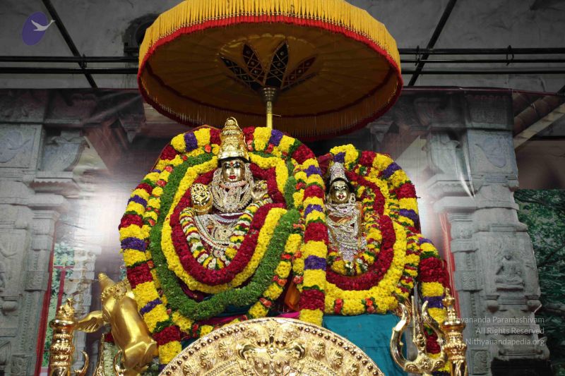 File:20101112 Photo 1656 1Ar16fxfxFrdWtxRgpJ2Pp7r ktX2I9Zu.JPG