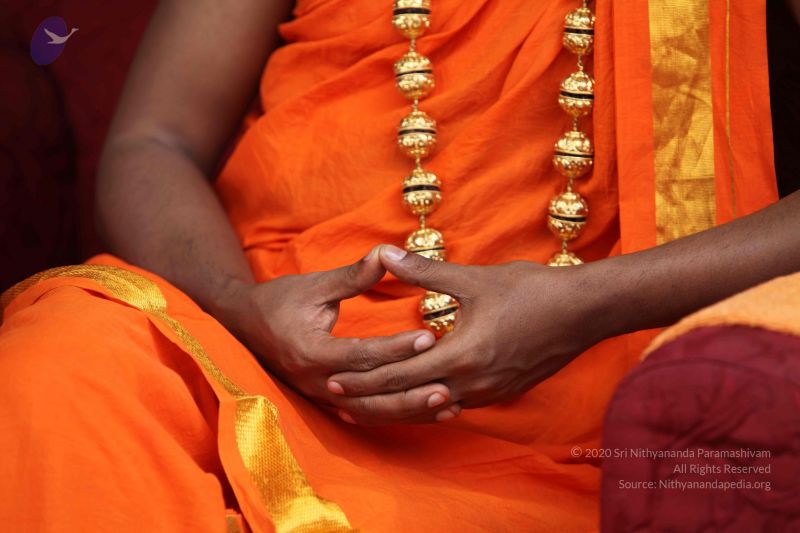 File:20101112 Photo 1823 1Kn rGfcL2OZJJmnKpXDVRukAQpw5tYdP.JPG