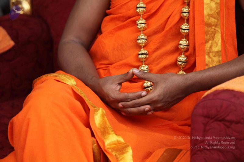 File:20101112 Photo 1825 1Ey81kVoJ0ShYArz3DA9onaGtO4eu ilW.JPG