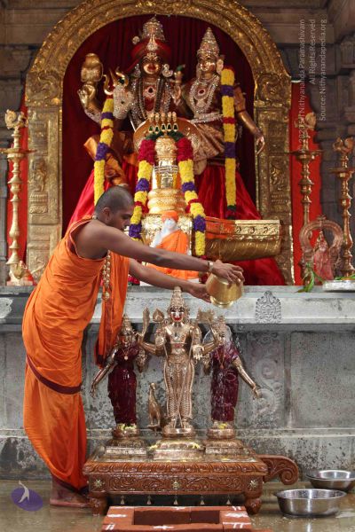 File:20101112 Photo 1862 1qEg5V s1oFunug qzKP1drtYCFpU UYm.JPG