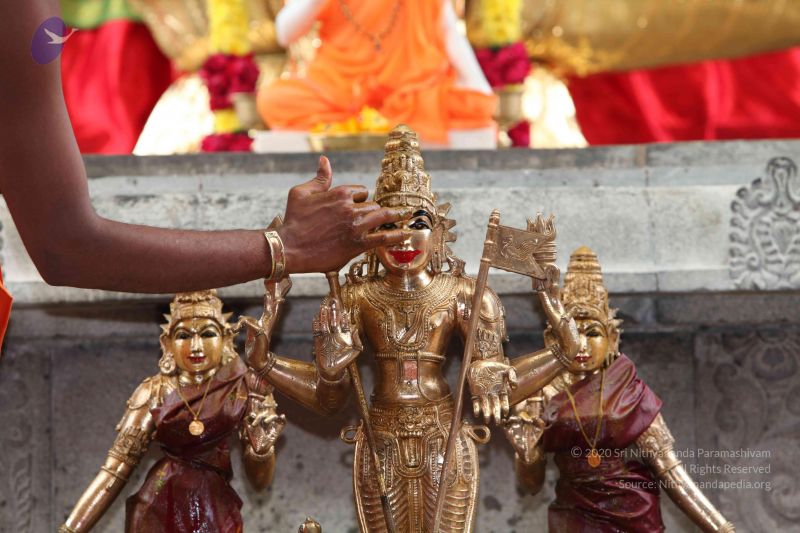 File:20101112 Photo 1879 1 80dMYpvB10C76smsT5S7OJ3cQucY7cu.JPG