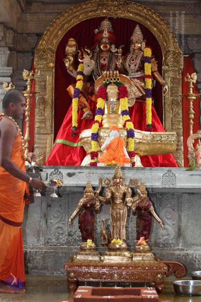 File:20101112 Photo 1883 1590gJd0nV7khe7mfnPMTzQzG6e gSVfE.JPG