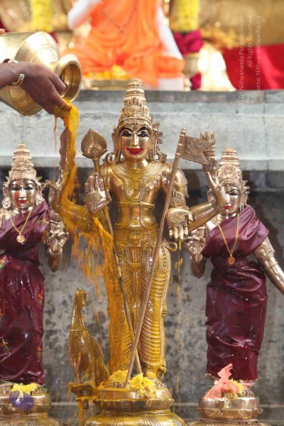 File:20101112 Photo 1892 10CceRBrxRBpfEdk8YhAzC5Koj95SJs6D.JPG