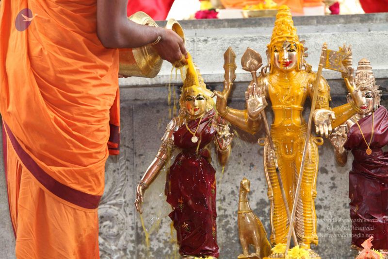 File:20101112 Photo 1895 1wNSTEdOGyU7j2bvDKQ4vkBYlUJOfqkLQ.JPG