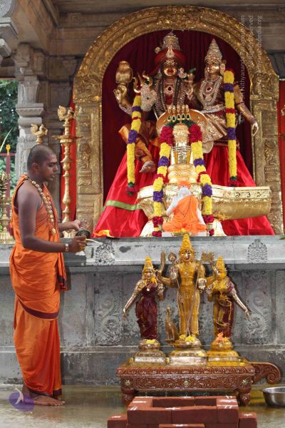 File:20101112 Photo 1900 1RexcpNHLimOarvUvfFYdw40LwcuFiFG6.JPG