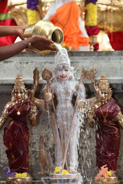 File:20101112 Photo 1907 1QMtowcK4cjcp4x4Scxtb7m3rZDcE7Rkv.JPG