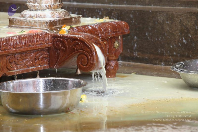 File:20101112 Photo 1931 1zW2PQlRtysNtQRoN62n0OODlx6 -SFL7.JPG