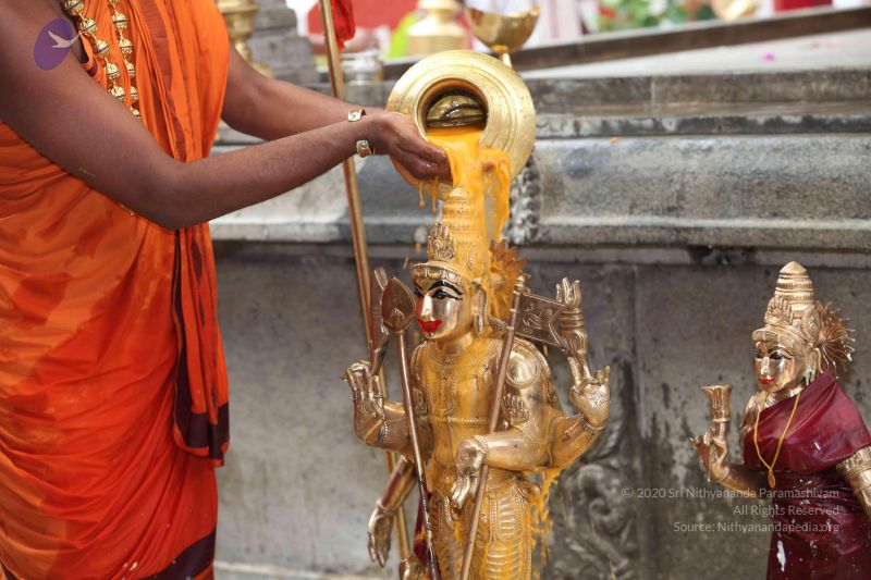 File:20101112 Photo 1934 14ujSiVtKr7oWLP0sZX8KWAZWS3xxzcxr.JPG