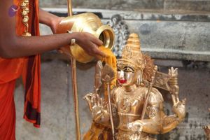 20101112 Photo 1940 1e8BJJ8s8UHGxYJQEDOpfn5DpR3m wsU5.JPG