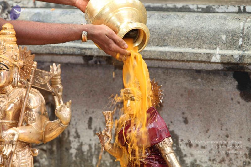 File:20101112 Photo 1941 1M7TmSx-7lSnVBfiro7ZlLO0KXGXLqxYW.JPG