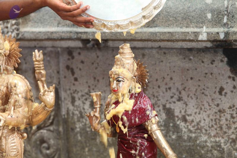 File:20101112 Photo 1957 1Z2p2Flih1PVBEJiokdaRA eE586PmyRD.JPG