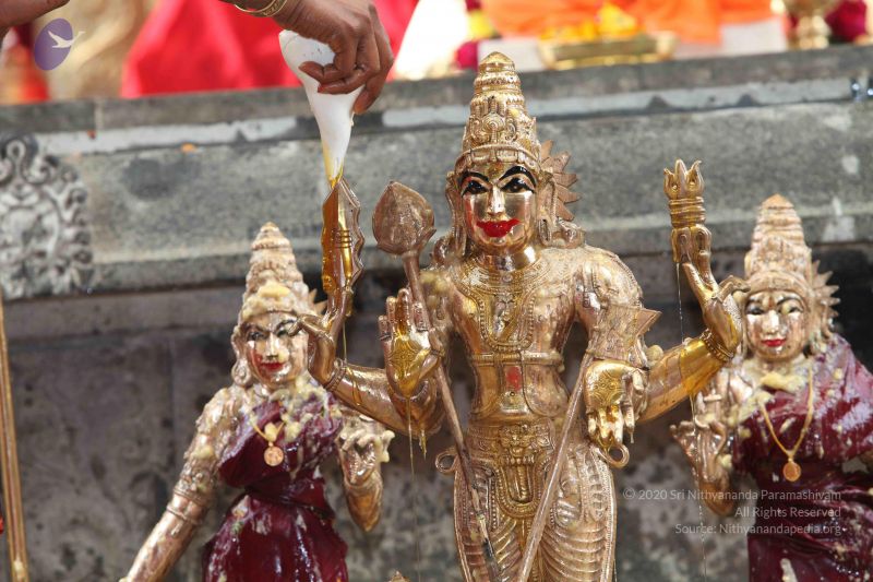 File:20101112 Photo 1966 1sdTcW6wTBCT5Z-meE90nQpVG-QJoR5t .JPG