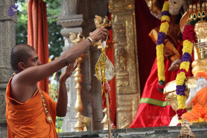 File:20101112 Photo 1972 1CljoGtsdKScHZ2Pm0HYt2CajP6IDiX3e.JPG