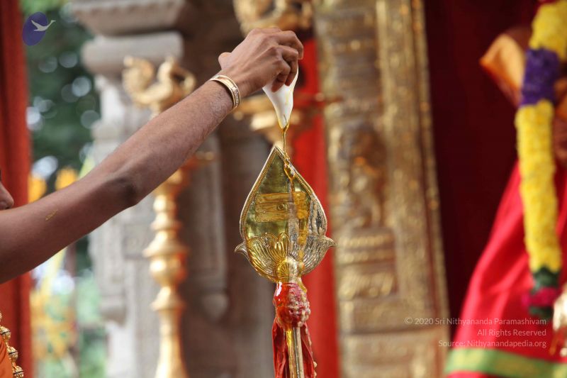 File:20101112 Photo 1974 12dshD2TnDACIM0n5v35pNrz6fIvnC1Xh.JPG