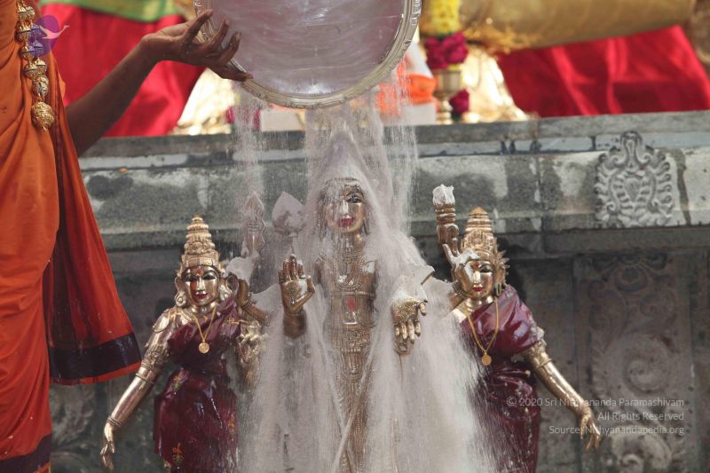 File:20101112 Photo 1981 1nVhw3U18jsxTSLdTfJik5t g7-shA6N8.JPG