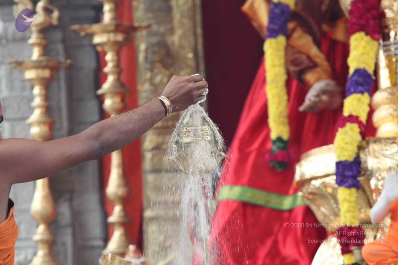 File:20101112 Photo 1986 1A70VOfC9A2aDlMW4ZL EDXHfA U8GiFT.JPG