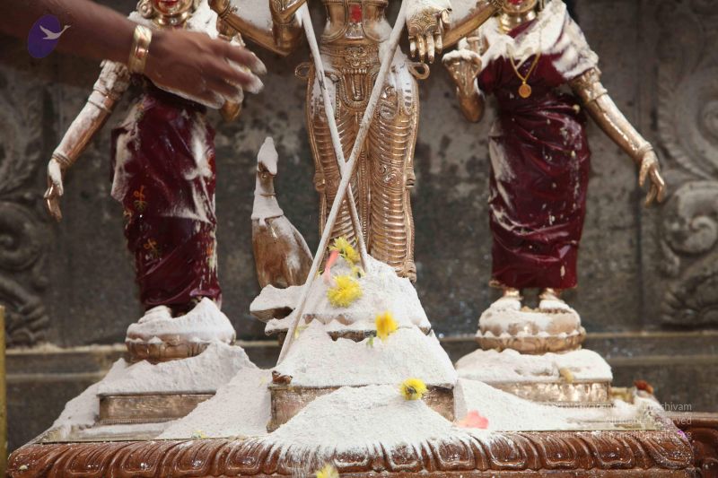 File:20101112 Photo 1994 1jZrDTSBHDpPiH4Aznj7KvhDpqenWUW3E.JPG