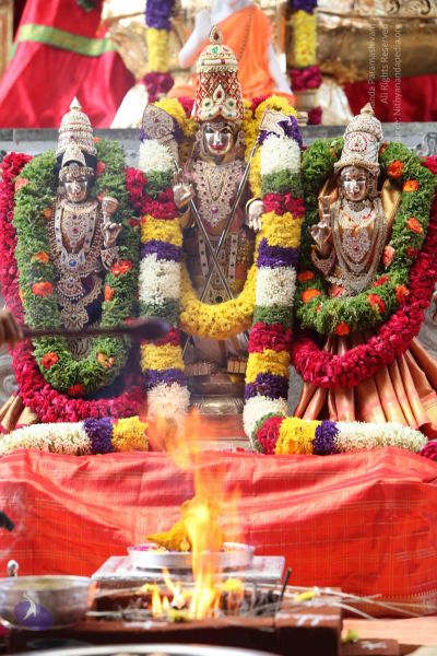 File:20101112 Photo 2125 1CfjEkKLN4o2dvZqcvmayGdAXkdrXMjsS.JPG