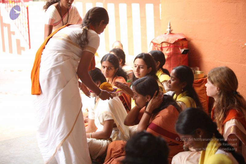 File:20101112 Photo 2167 15T1jk4O3O-UYKf8-3CPfLIIyNH1x2Hsg.JPG