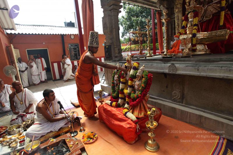 File:20101112 Photo 2186 1BggZpIaHg4LZXTC0Rwp4HOvMuanGPhJ6.JPG