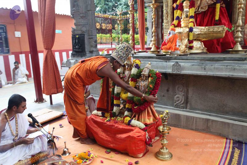 File:20101112 Photo 2220 1JsisvajbO-d31b9kH6DRKXTqxKf3aEAP.JPG