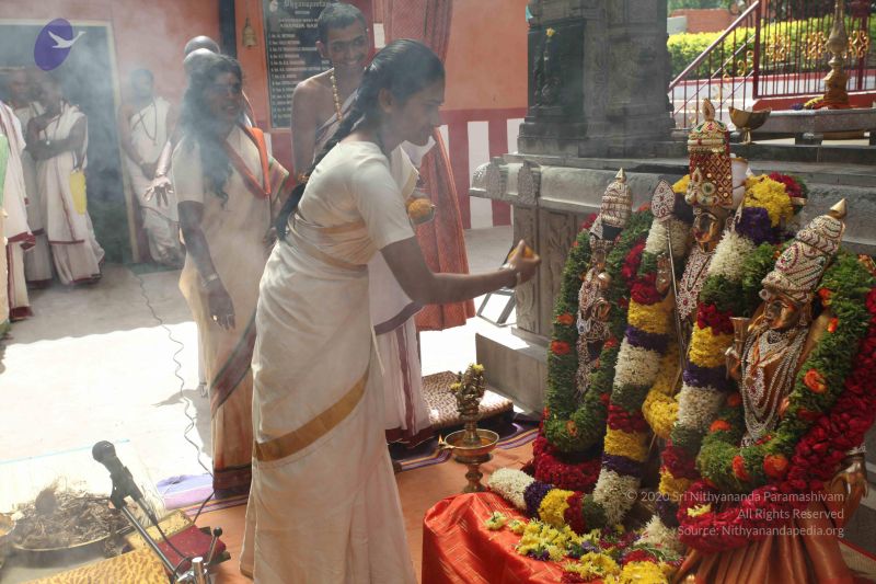 File:20101112 Photo 2274 14wuiX9LcKnIk4HKNpfTcsOg4zX0bF4S3.JPG