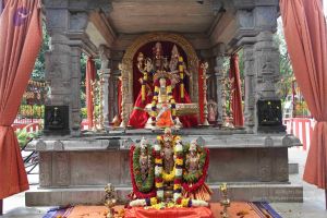 20101112 Photo 2325 19c-Ob SukWwUuli8VPE5weHSKInZVrJk.JPG