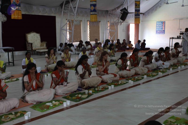 File:20101112 Photo 2371 1sSxn0HFalazL0bGDk3ReHDwIn5SWIjDQ.JPG