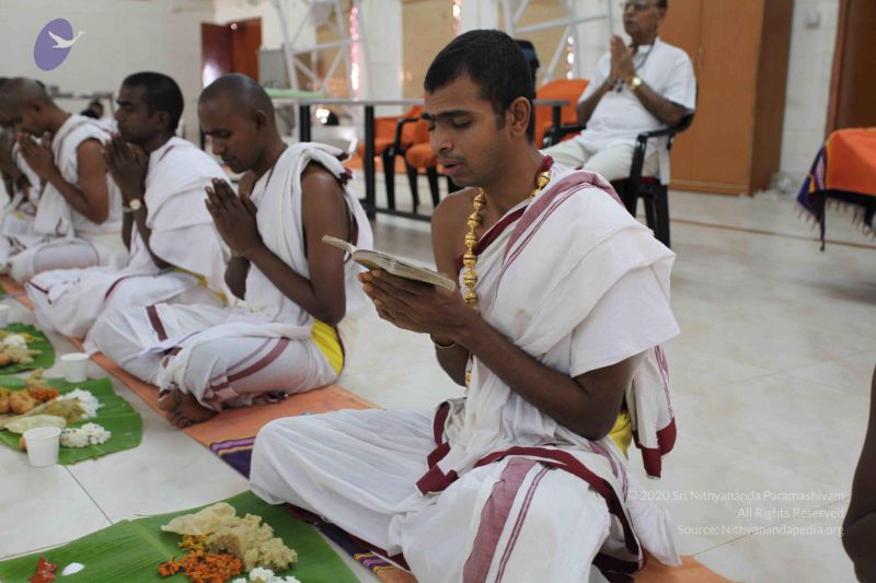 File:20101112 Photo 2375 1xXc W6bJNJQ7f5qN5vd4l577ZW5NQ6sy.JPG