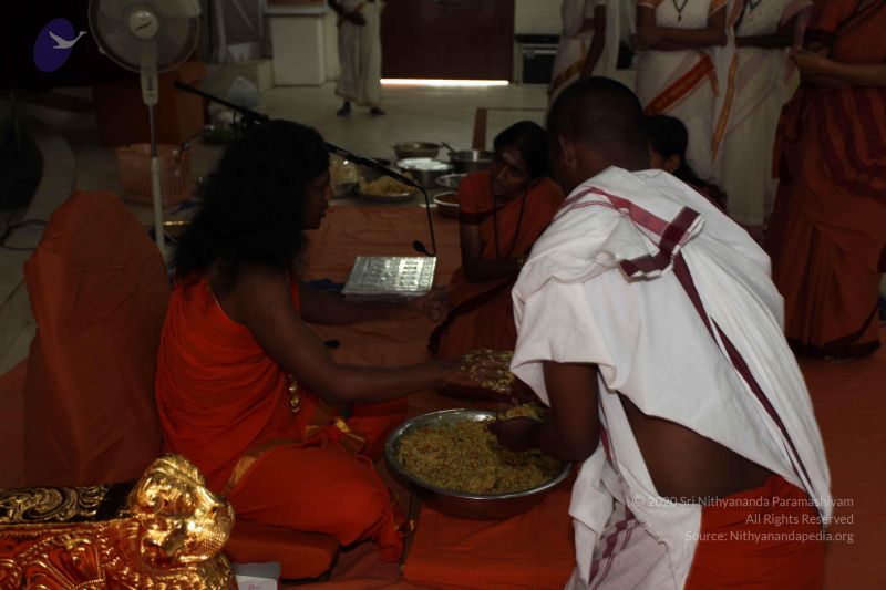 File:20101112 Photo 2427 1NY HJuLndS2vcDuK5KBn6jsal M2sIAK.JPG