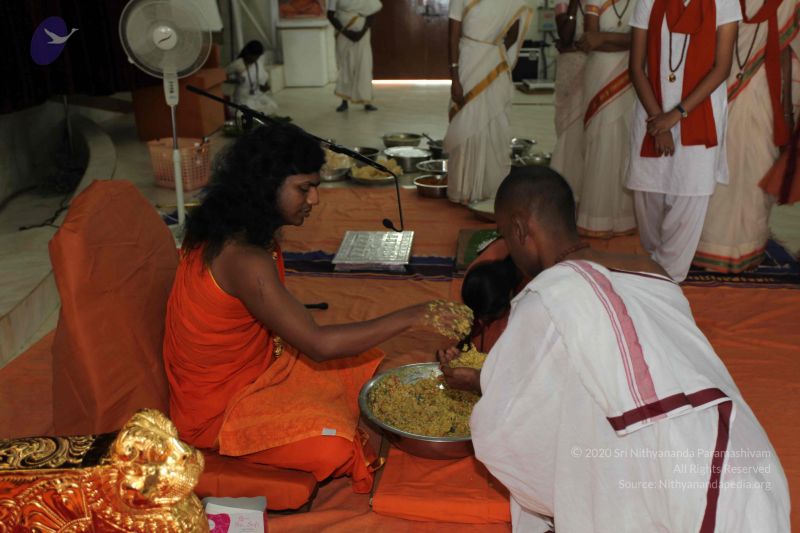 File:20101112 Photo 2430 11g YpINyVg2iqNHVBKQLoILHUbF-33Wn.JPG