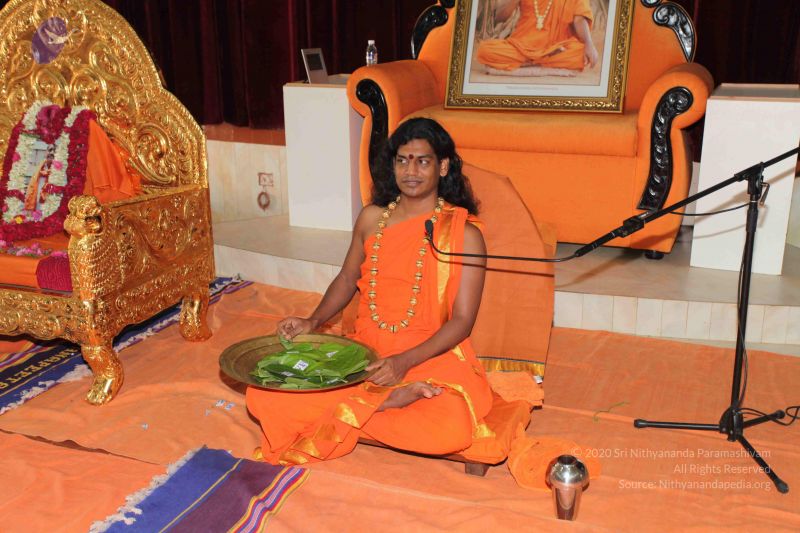 File:20101112 Photo 2500 1I5DoMOxReHmx9aGY7DdKp81VAdkytRIh.JPG