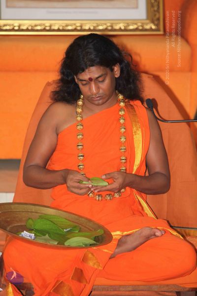 File:20101112 Photo 2513 1OjFrPPOQ9r3WCg8 CygzXkb3rzZ mLxr.JPG