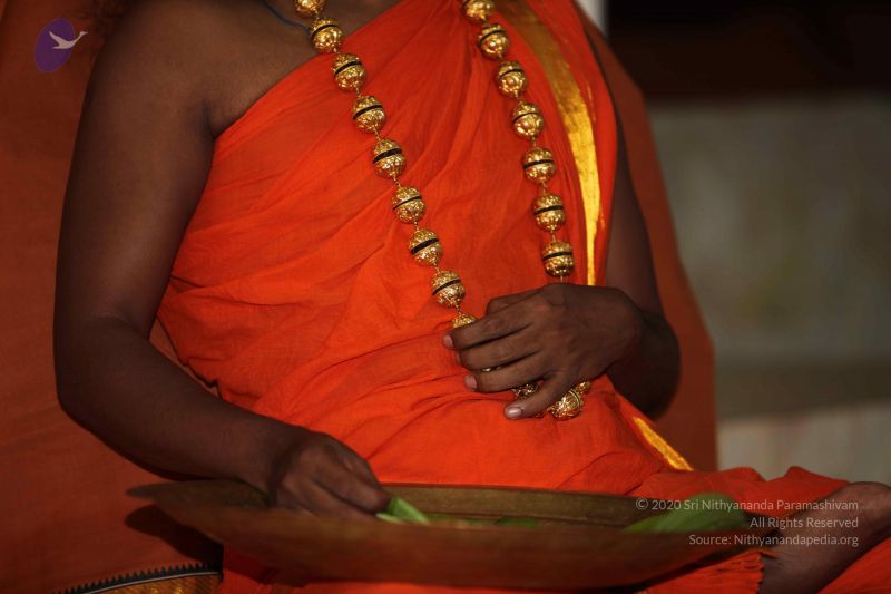 File:20101112 Photo 2530 1pAF-nwD5HfUmPQT0tbbrjBkcJPLn5NlM.JPG